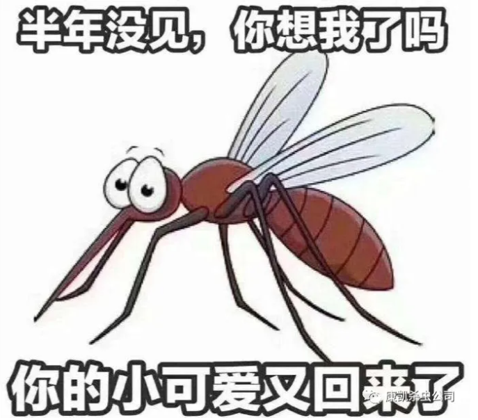 跟自己有血緣關(guān)系 而不是親人的“它”